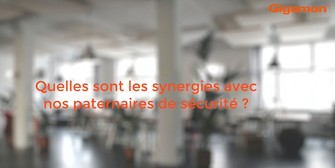 Quelles sont les synergies avec nos partenaires de sécurité ? 