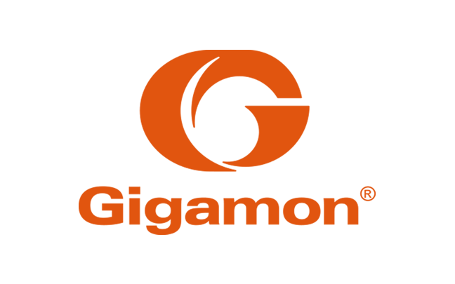 Gigamon